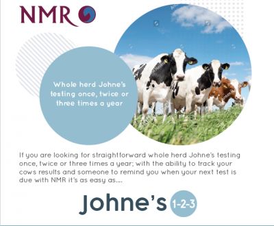 Johnes Reviews: Enhancing Dairy Herd Health and Performance with Annual Assessments